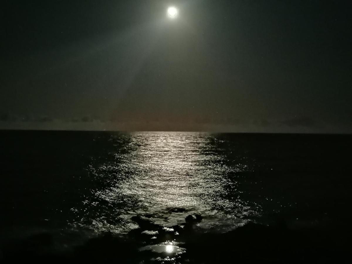Blue Sea. Tony Frias. Las Eras. Arico - Tenerife. Арико-эль-Нуэво Экстерьер фото